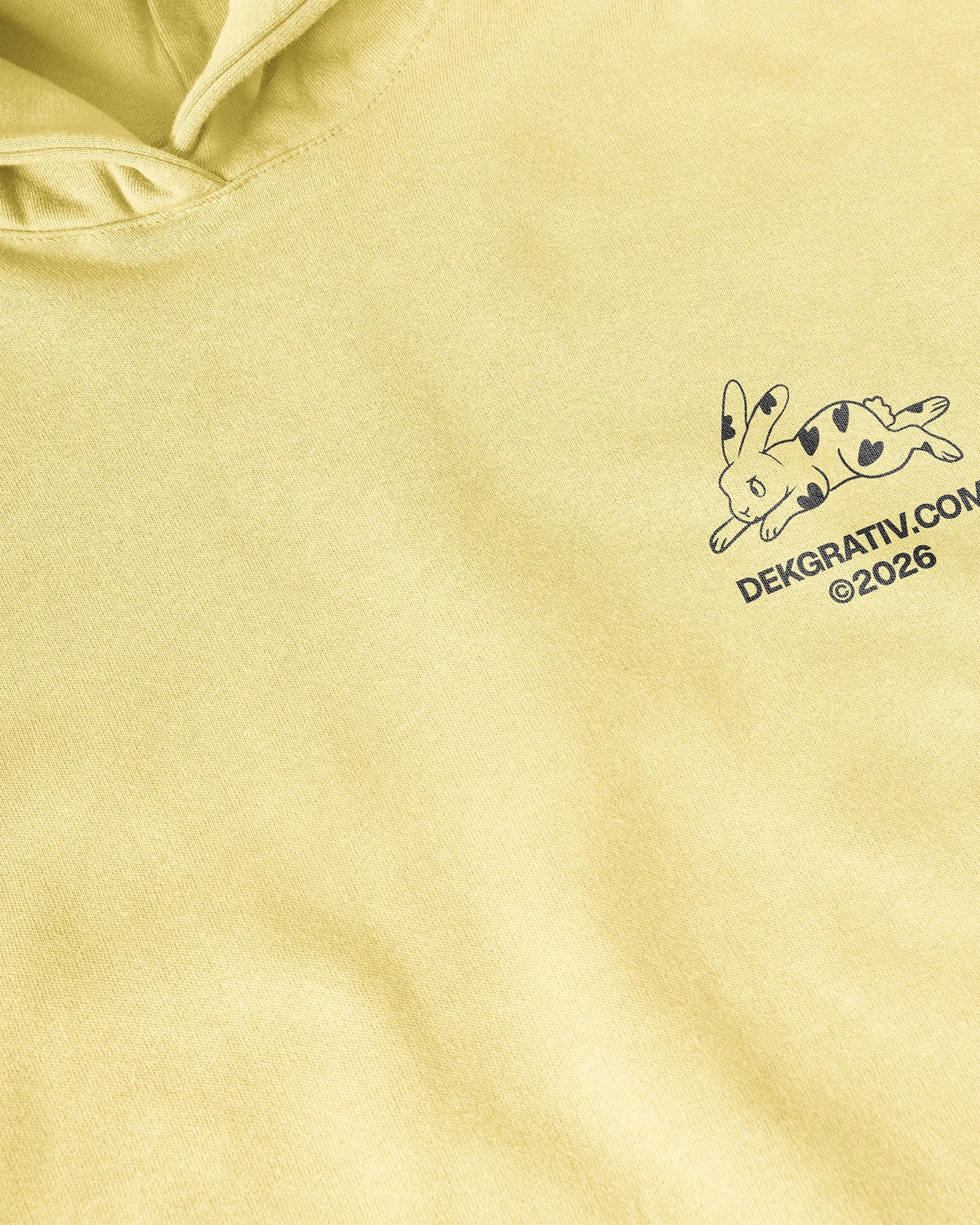 5 Relaxed Fit Hoodie Mockups 2026